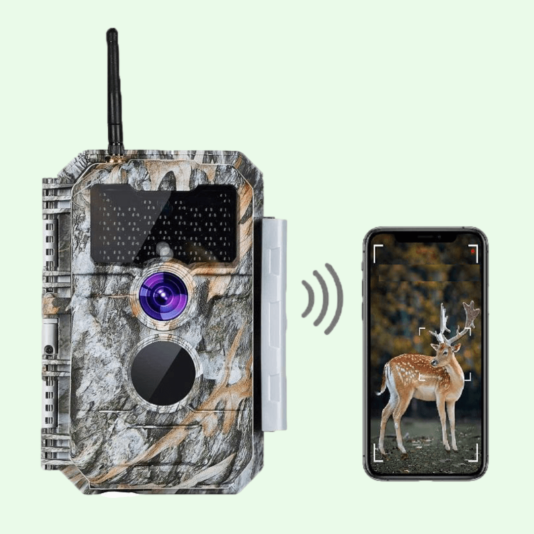 Card Top Loader - Caméra de Chasse WiFi Bluetooth,64MP et