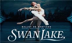 Funko Pop Protector - Ballet de Santiago Swan Lake