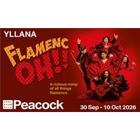Flamenc Oh!! - Funko Pop Protector review and price