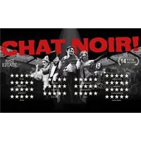 CHAT NOIR - Funko Pop Protector review and price
