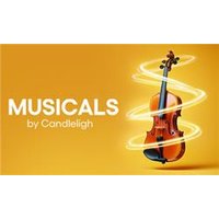 Musicals By Candlelight - Funko Pop Protector review and price