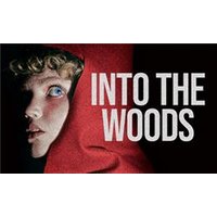 Into The Woods - Funko Pop Protector review and price
