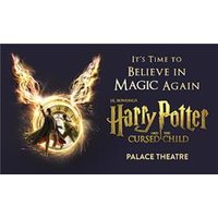 Harry Potter and the Cursed Ch - Funko Pop Protector review and price