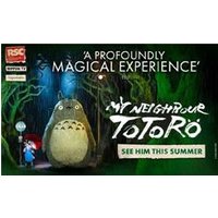 My Neighbour Totoro - Funko Pop Protector review and price