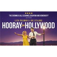 Pulman and Stilgoe - Hooray Fo - Funko Pop Protector review and price