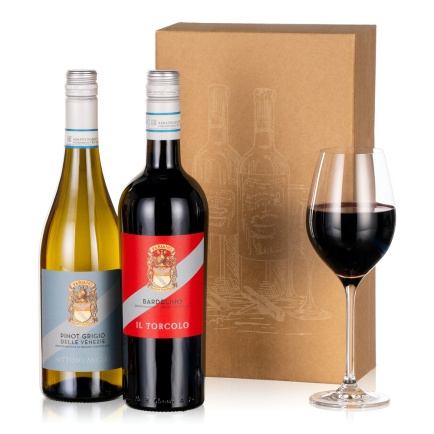 Italian Wine Duo - Funko Pop Protector review and price