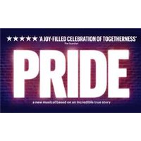 Pride - Bridge Theatre - Funko Pop Protector review and price