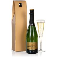 Champagne Choice - Funko Pop Protector review and price