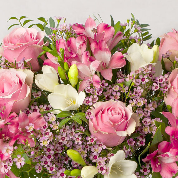Pink Roses and Freesias - Funko Pop Protector review and price