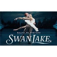 Ballet de Santiago Swan Lake - Funko Pop Protector review and price