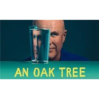 An Oak Tree - Funko Pop Protector review and price