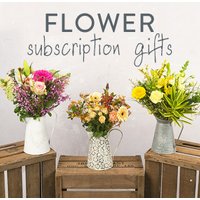 Hand Tied 6 Month Flower Gift - Funko Pop Protector review and price