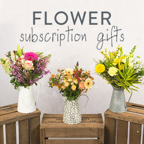 Hand Tied 6 Month Flower Gift - Funko Pop Protector review and price