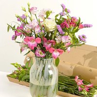 Letterbox Monthly Flower Gift - Funko Pop Protector review and price